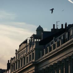 Former Private Synagogue, Philip Salomons (d. 1867) - 26 Brunswick Terrace, Hove (underneath pepper pot finial)