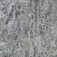 A Bare Foot Print on the Chemin des Juifs next to a Hob-nailed German Army Boot Mark.  It is alleged that prisoners were punished for sabotage by having to labour with no shoes.  This could lead to death.