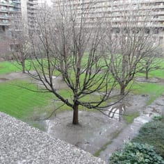 Site of excavated medieval Jewish burials at the Barbican - the grave-cuts may still be visible from some vantage points in wet conditions