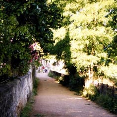 Dead Man's Walk in Christ Church Meadow - the site of Jewish funeral processions