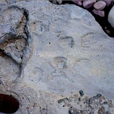 Foot prints in the concrete of prisoners or guards at the Anti-tank Wall, Longis, identified by JTrails.